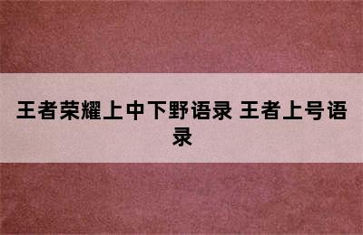 王者荣耀上中下野语录 王者上号语录